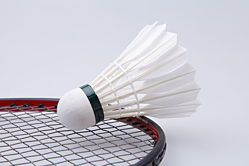 非人人都能 非人人都能