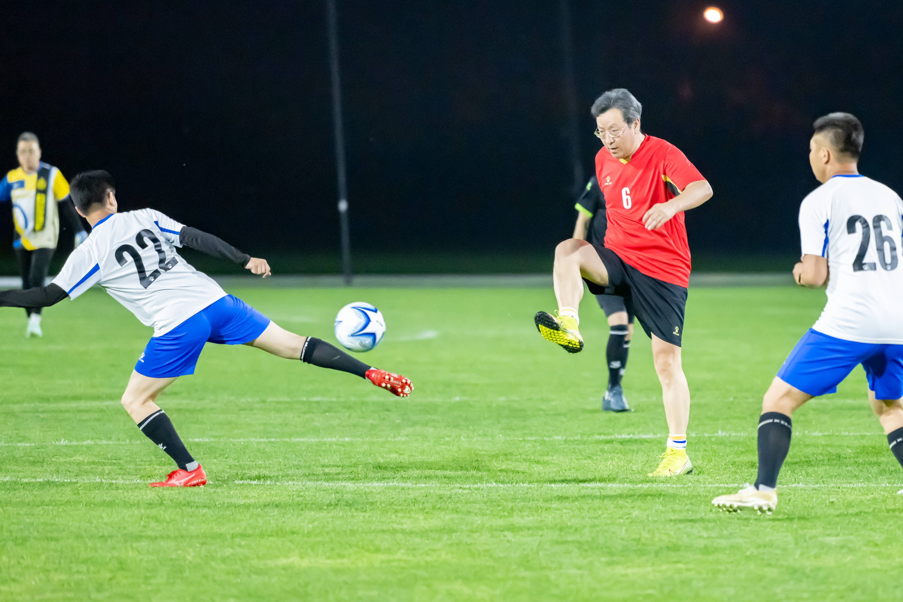 多样化的比 多样化的比