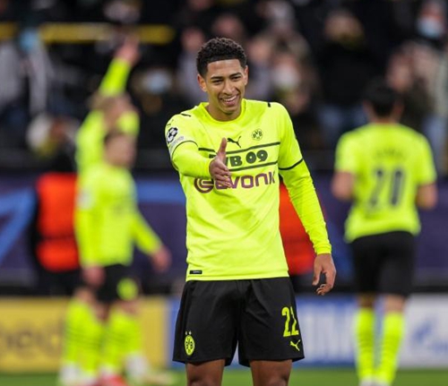 能够把内容 能够把内容